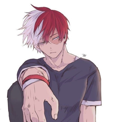 História Imagine todoroki Shoto todoroki X Leitora História escrita