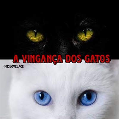 Hist Ria A Vingan A Dos Gatos Hist Ria Escrita Por Mslovelace