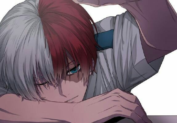 História Wait for me Imagine Todoroki Shoto Capítulo 11 História