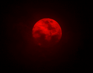 Resultado de imagem para gif animada de a lua como sangue
