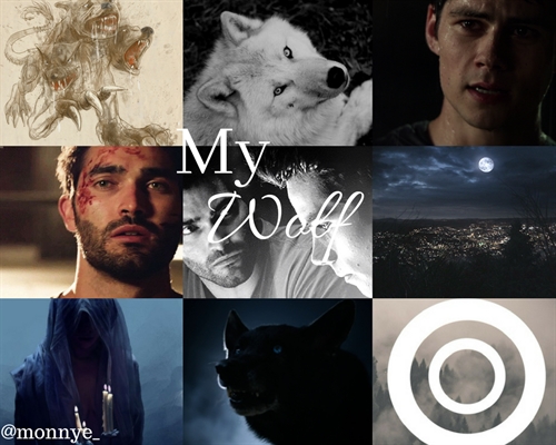 História My Wolf Sterek Capítulo 16 História Escrita Por Monnye Spirit Fanfics E Histórias 3166