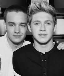 Fanfic / Fanfiction Complete or Incomplete? (Niam Horayne)