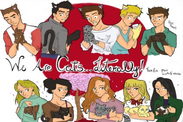 Fanfic / Fanfiction We Are Cats... Literally!