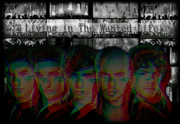 Fanfic / Fanfiction Living in The Wanted Life
