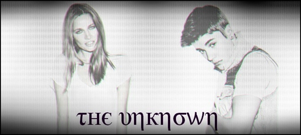 Fanfic / Fanfiction The unknown