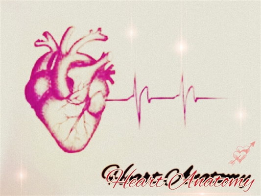 Fanfic / Fanfiction Heart Anatomy - está sendo reescrita.