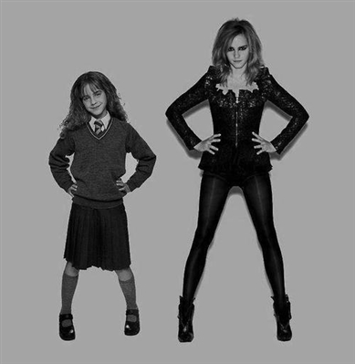 Fanfic / Fanfiction A outra face de Hermione Granger