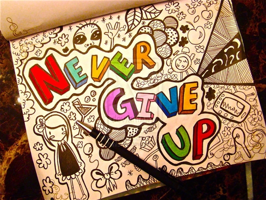 Fanfic / Fanfiction Never Give Up
