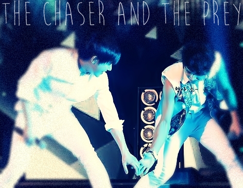 Fanfic / Fanfiction The chaser and the prey