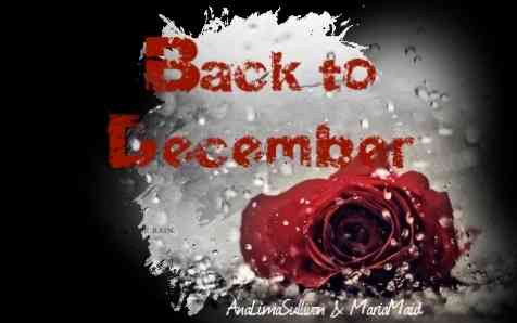 Fanfic / Fanfiction Back to December