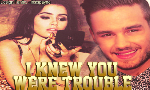 Fanfic / Fanfiction I Knew You Were Trouble