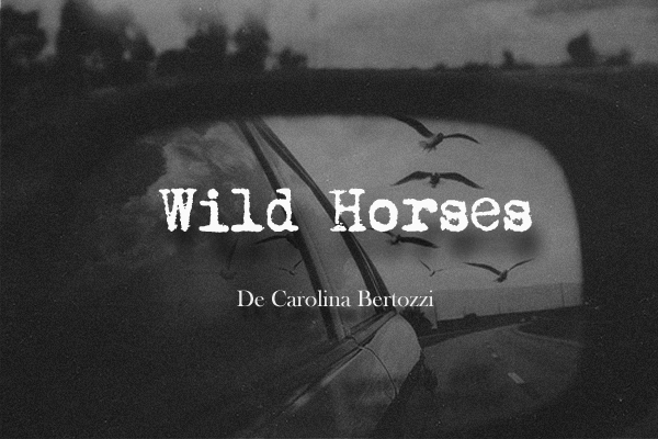 Fanfic / Fanfiction Wild Horses