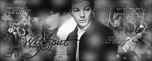 Fanfic / Fanfiction 99 Days Without You