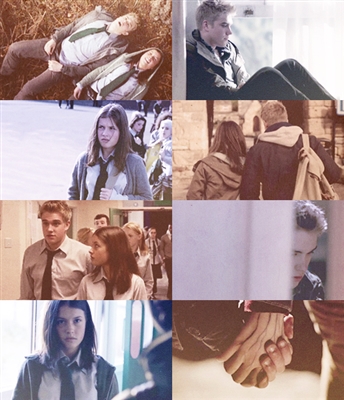 Fanfic / Fanfiction Wolfblood is back