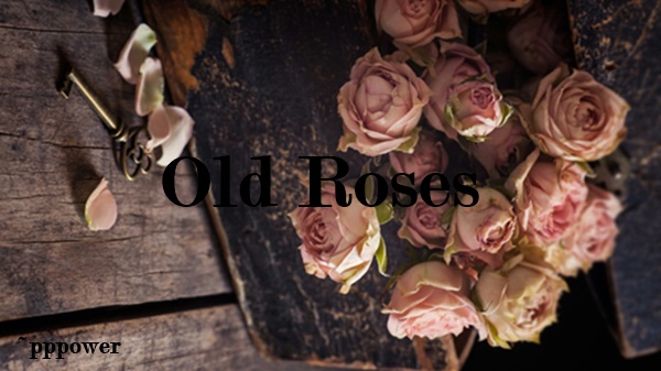 Fanfic / Fanfiction Old Roses