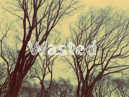 Fanfic / Fanfiction -Wasted-