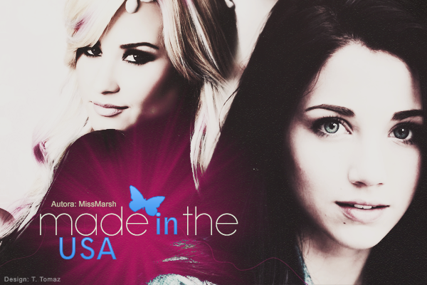 Fanfic / Fanfiction Made In The USA