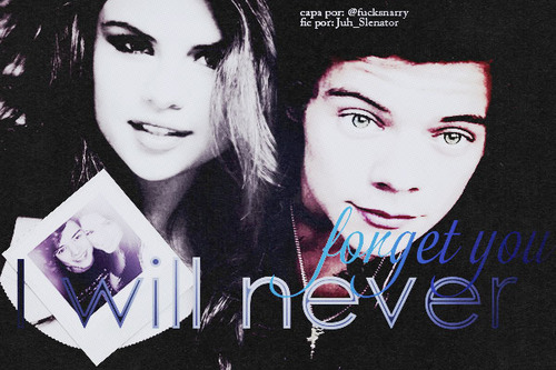 Fanfic / Fanfiction I will never forget you.