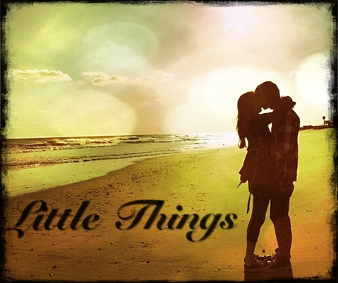 Fanfic / Fanfiction Little Things