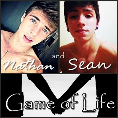 Fanfic / Fanfiction Game of Life