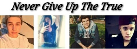 Fanfic / Fanfiction Never Give Up The True