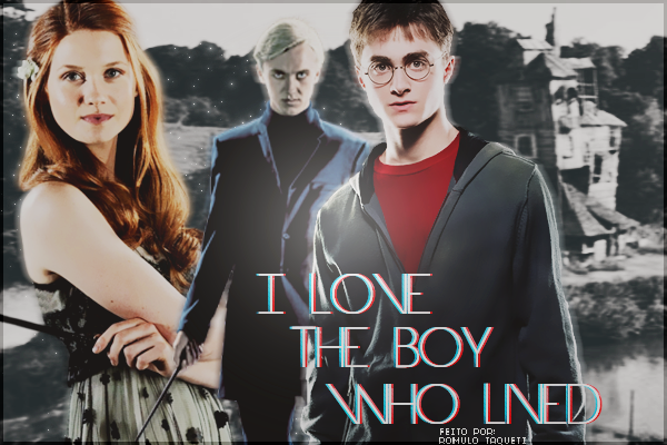 Fanfic / Fanfiction I love the boy who lived