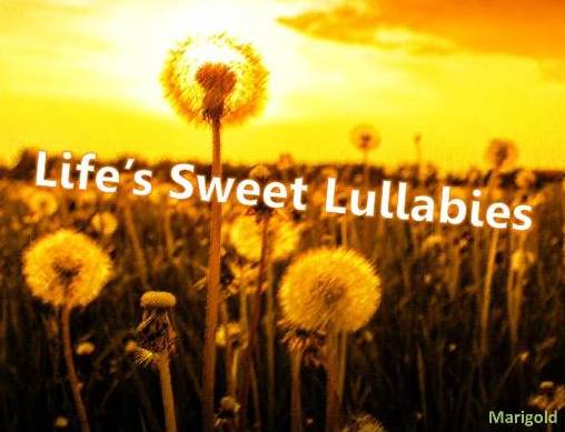 Fanfic / Fanfiction Lifes Sweet Lullabies