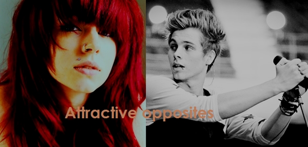 Fanfic / Fanfiction Attractive opposites