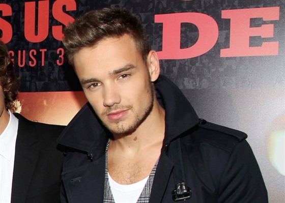 Fanfic / Fanfiction Some years older (Imagine Liam Payne)