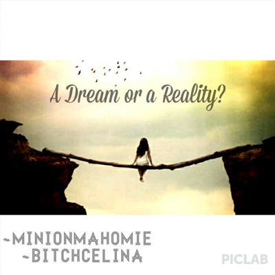 Fanfic / Fanfiction A Dream or a Reality?