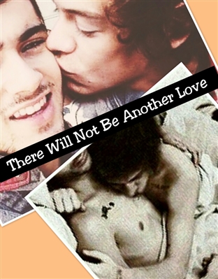 Fanfic / Fanfiction There Will Not Be Another Love