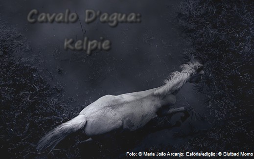 Fanfic / Fanfiction Cavalo da Água : A lenda do Kelpie