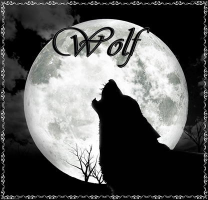 Fanfic / Fanfiction Wolf