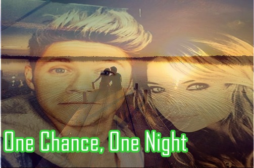 Fanfic / Fanfiction One Chance, One Night