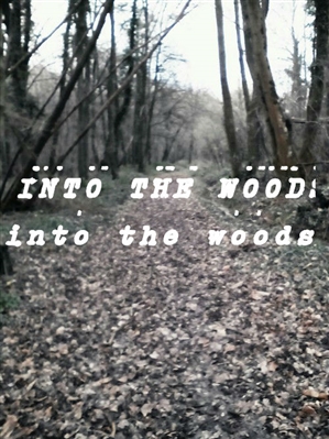 Fanfic / Fanfiction Into the woods