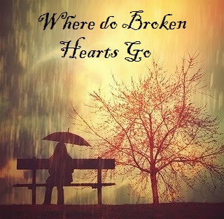 Fanfic / Fanfiction Where Do Broken Hearts Go (Capitulo Único)