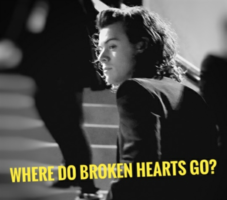 Fanfic / Fanfiction Where Do Broken Hearts Go? (Harry Styles)