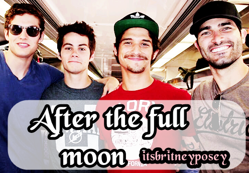 Fanfic / Fanfiction After the full moon