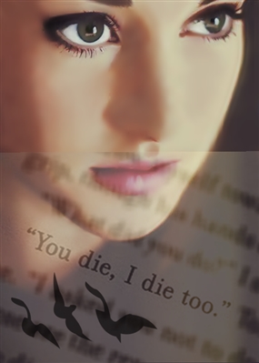 Fanfic / Fanfiction You die, I die too