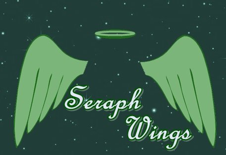 Fanfic / Fanfiction Seraph Wings