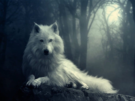 Fanfic / Fanfiction The Wolf