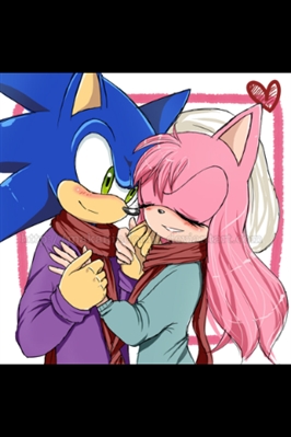 PRINCESA SALLY: PERFIL DA NAMORADA DO SONIC SEM SER A AMY