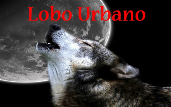 Fanfic / Fanfiction Lobo Urbano