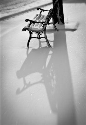 Fanfic / Fanfiction Sombra sobre a neve.