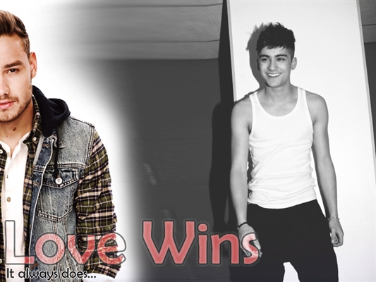 Fanfic / Fanfiction Love Wins