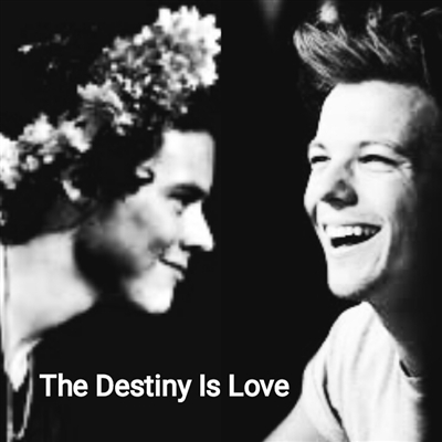 Fanfic / Fanfiction The Destiny Is Love(Texting) (Larry Stylinson)