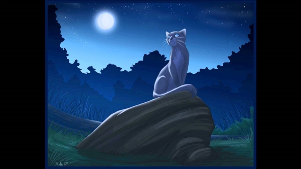 História Gatos Guerreiros - Meia Noite - História escrita por Leafdapple -  Spirit Fanfics e Histórias