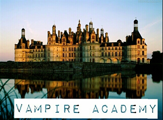 Fanfic / Fanfiction Vampire Academy