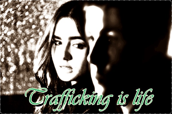Fanfic / Fanfiction Trafficking is life