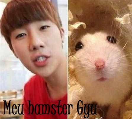 Fanfic / Fanfiction Imagine: Meu Hamster Gyu. (Sunggyu -Infinite)